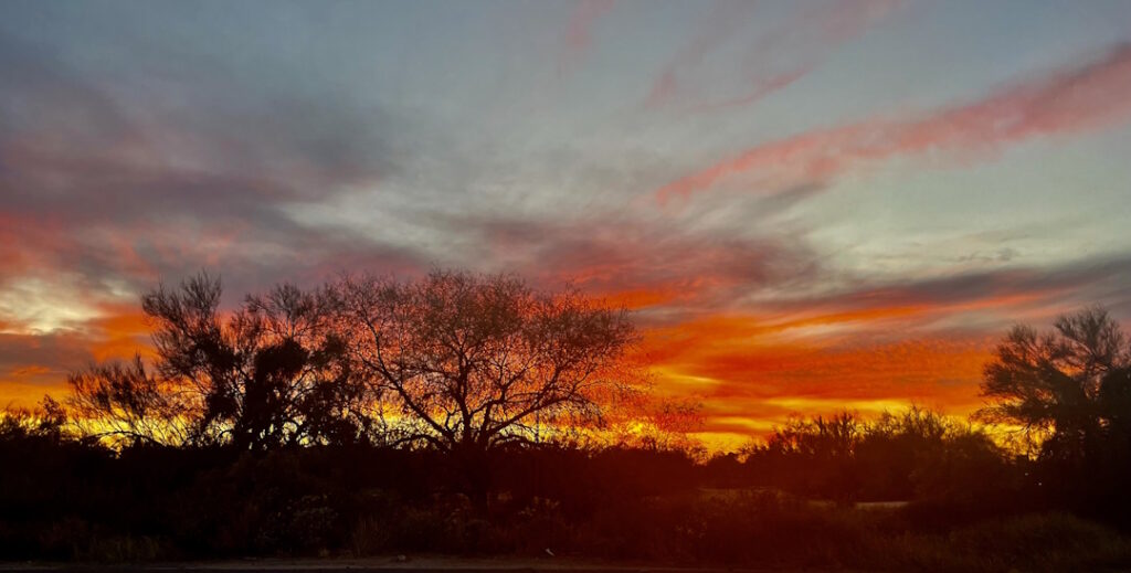 Haus of Life & Co header skyline